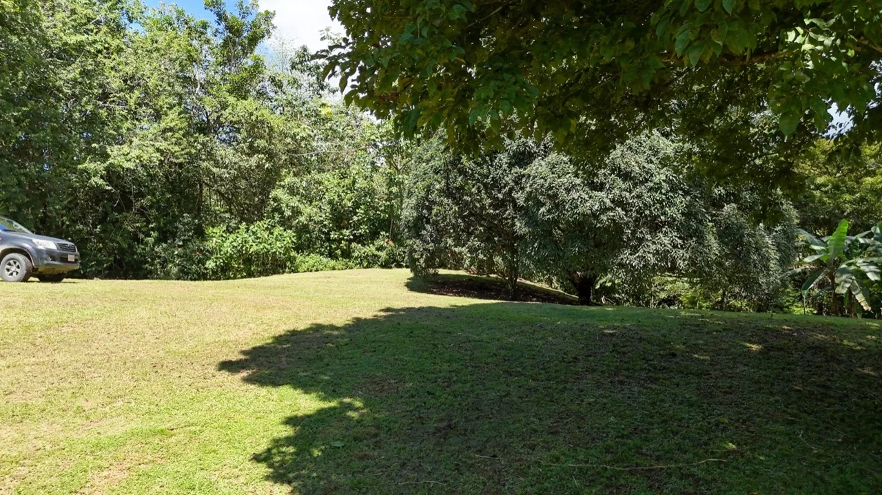 BUILDING MOUNTAIN PROPERTY IN THE MIDDLE OF THE NATURE, IN OJOCHAL – 1.24 ACRES, photo 17