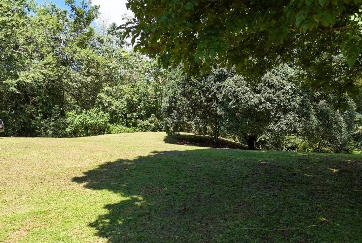 BUILDING MOUNTAIN PROPERTY IN THE MIDDLE OF THE NATURE, IN OJOCHAL – 1.24 ACRES, photo 18