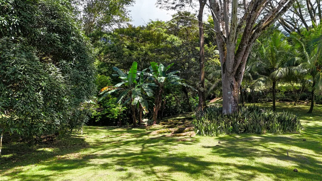 BUILDING MOUNTAIN PROPERTY IN THE MIDDLE OF THE NATURE, IN OJOCHAL – 1.24 ACRES, photo 19