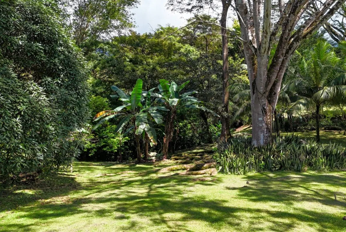 BUILDING MOUNTAIN PROPERTY IN THE MIDDLE OF THE NATURE, IN OJOCHAL – 1.24 ACRES, photo 20