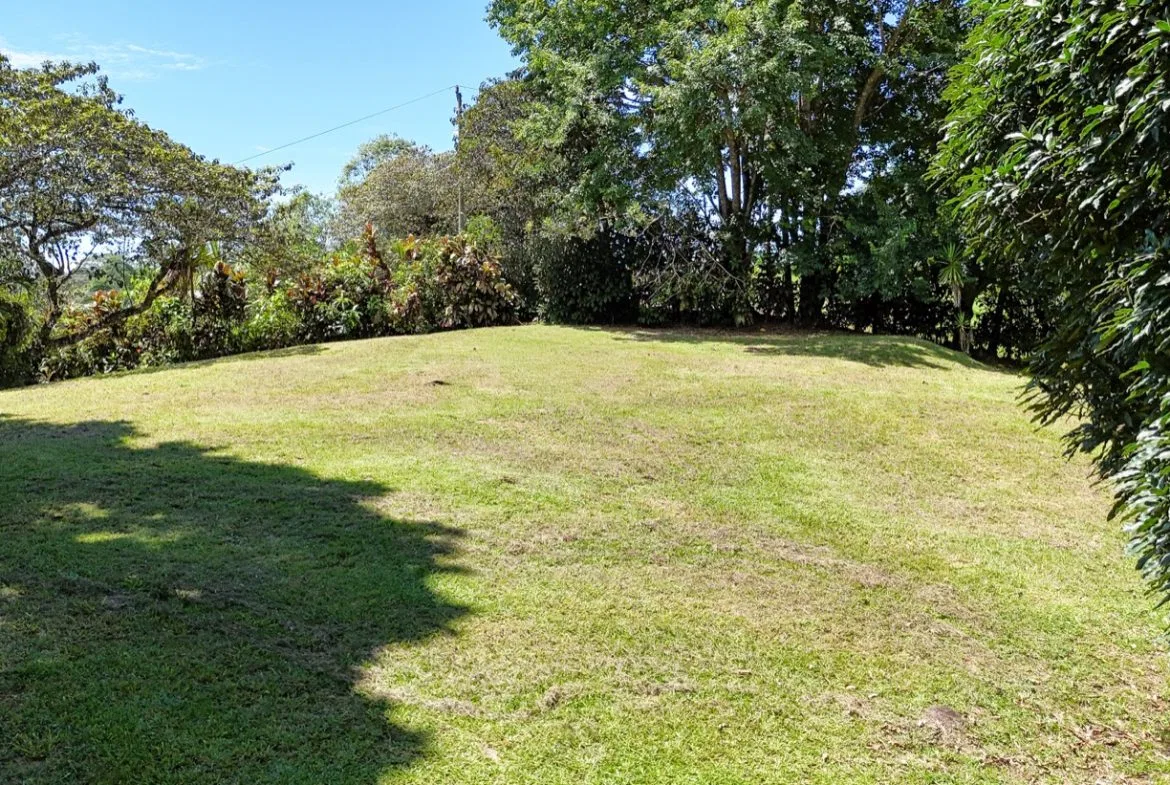 BUILDING MOUNTAIN PROPERTY IN THE MIDDLE OF THE NATURE, IN OJOCHAL – 1.24 ACRES, photo 22