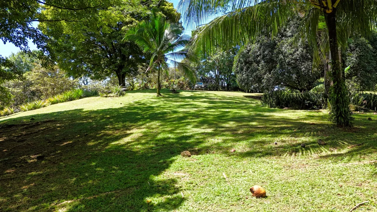 BUILDING MOUNTAIN PROPERTY IN THE MIDDLE OF THE NATURE, IN OJOCHAL – 1.24 ACRES, photo 23