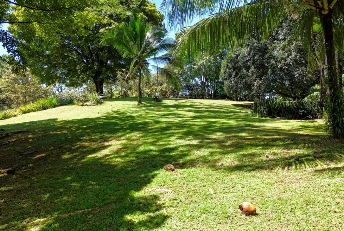 BUILDING MOUNTAIN PROPERTY IN THE MIDDLE OF THE NATURE, IN OJOCHAL – 1.24 ACRES, photo 24
