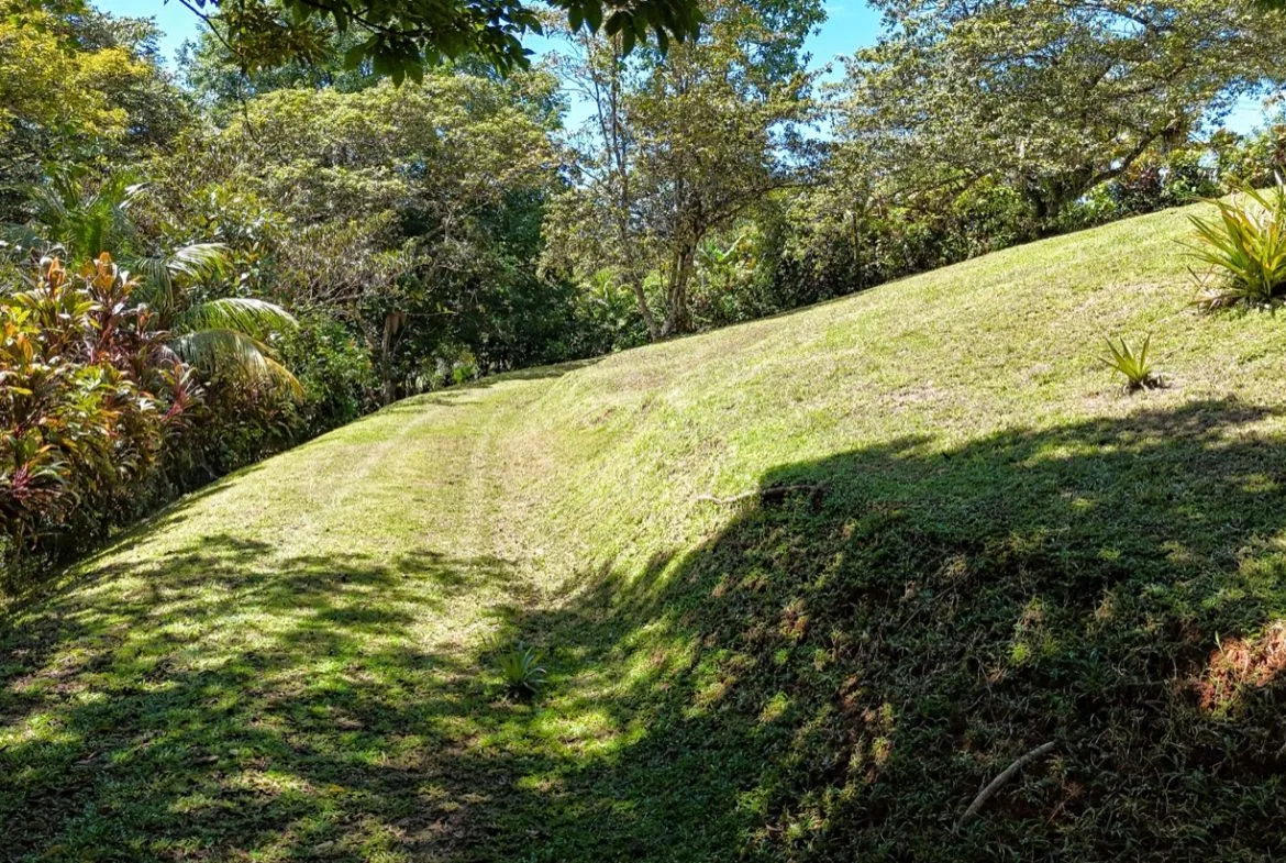 BUILDING MOUNTAIN PROPERTY IN THE MIDDLE OF THE NATURE, IN OJOCHAL – 1.24 ACRES, photo 6