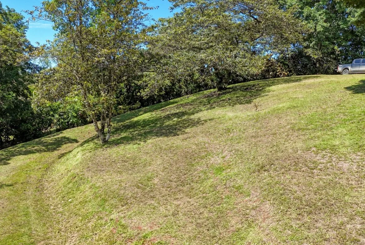 BUILDING MOUNTAIN PROPERTY IN THE MIDDLE OF THE NATURE, IN OJOCHAL – 1.24 ACRES, photo 8