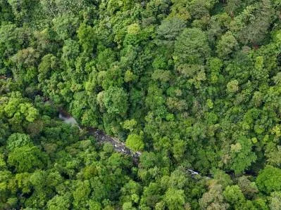 A RARE MOUNTAIN RETREAT WITH BUILDING SITES  , NICE VIEWS AND RIVER – 4.3 ACRES, photo 31