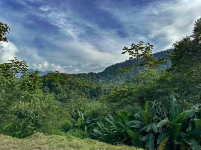 A RARE MOUNTAIN RETREAT WITH BUILDING SITES  , NICE VIEWS AND RIVER – 4.3 ACRES, photo 33