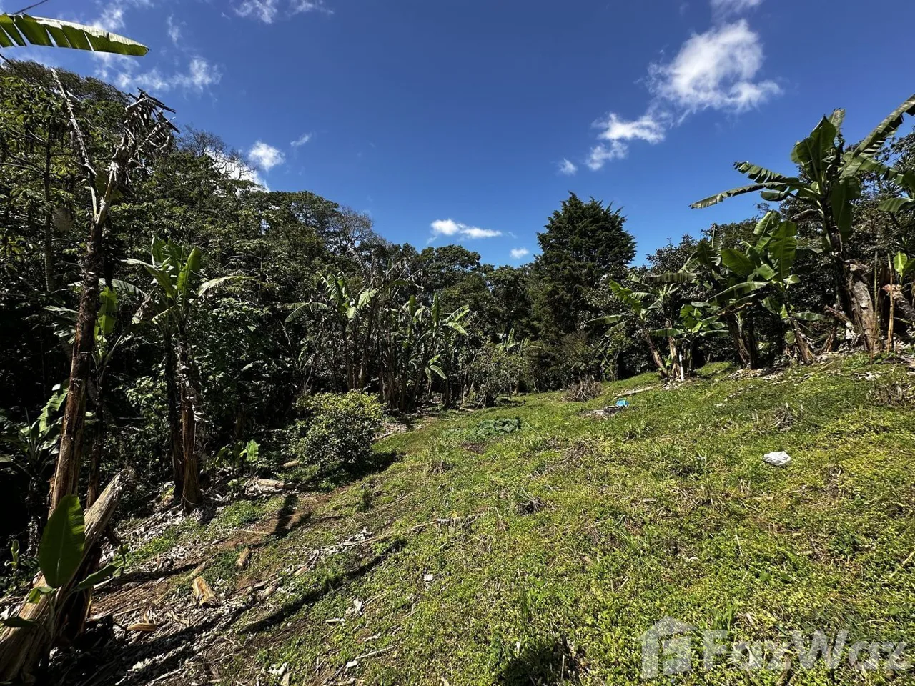 Land for Sale in Montes De Oca, San Jose for $58,600, photo 2