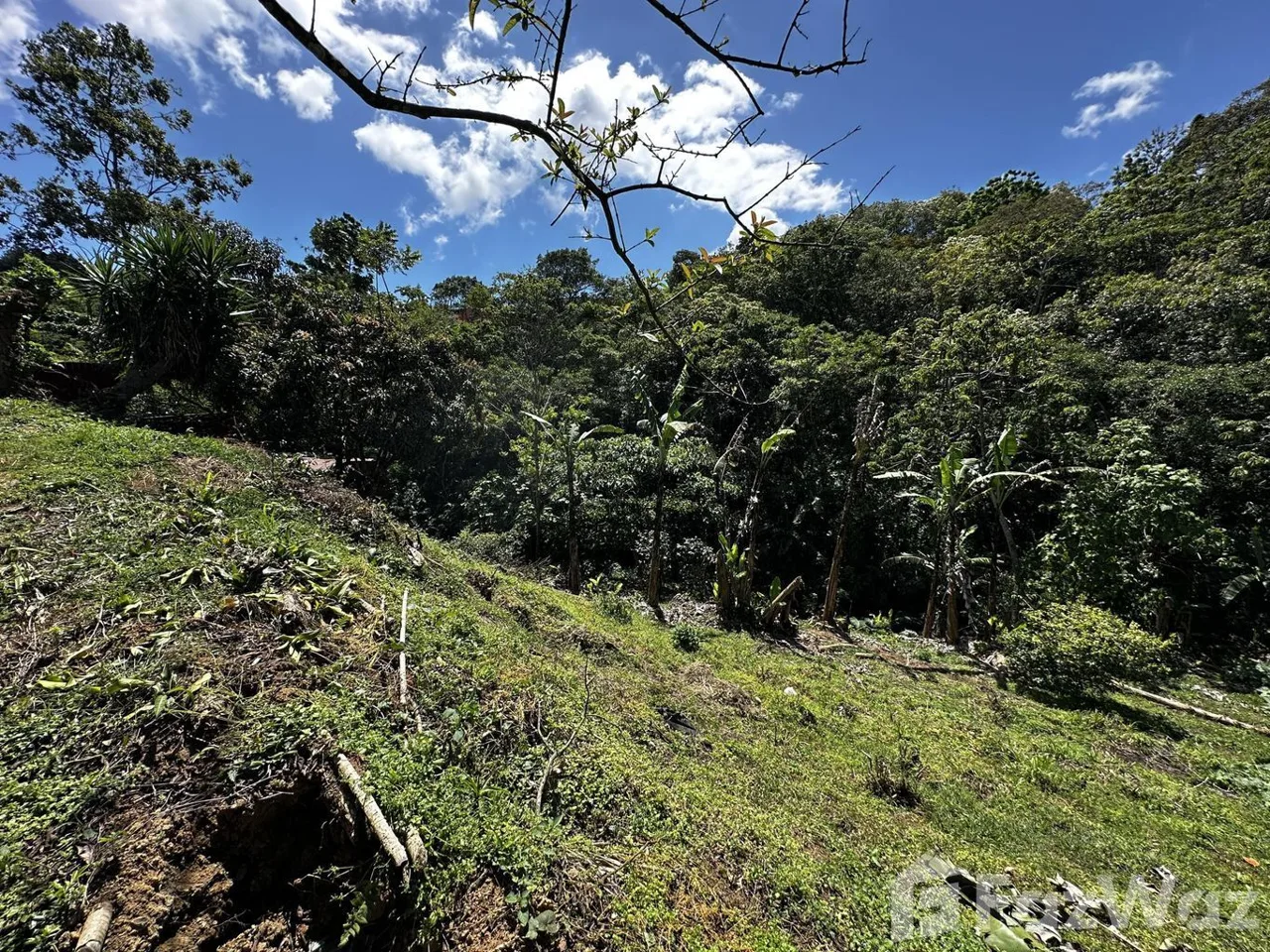 Land for Sale in Montes De Oca, San Jose for $58,600, photo 3