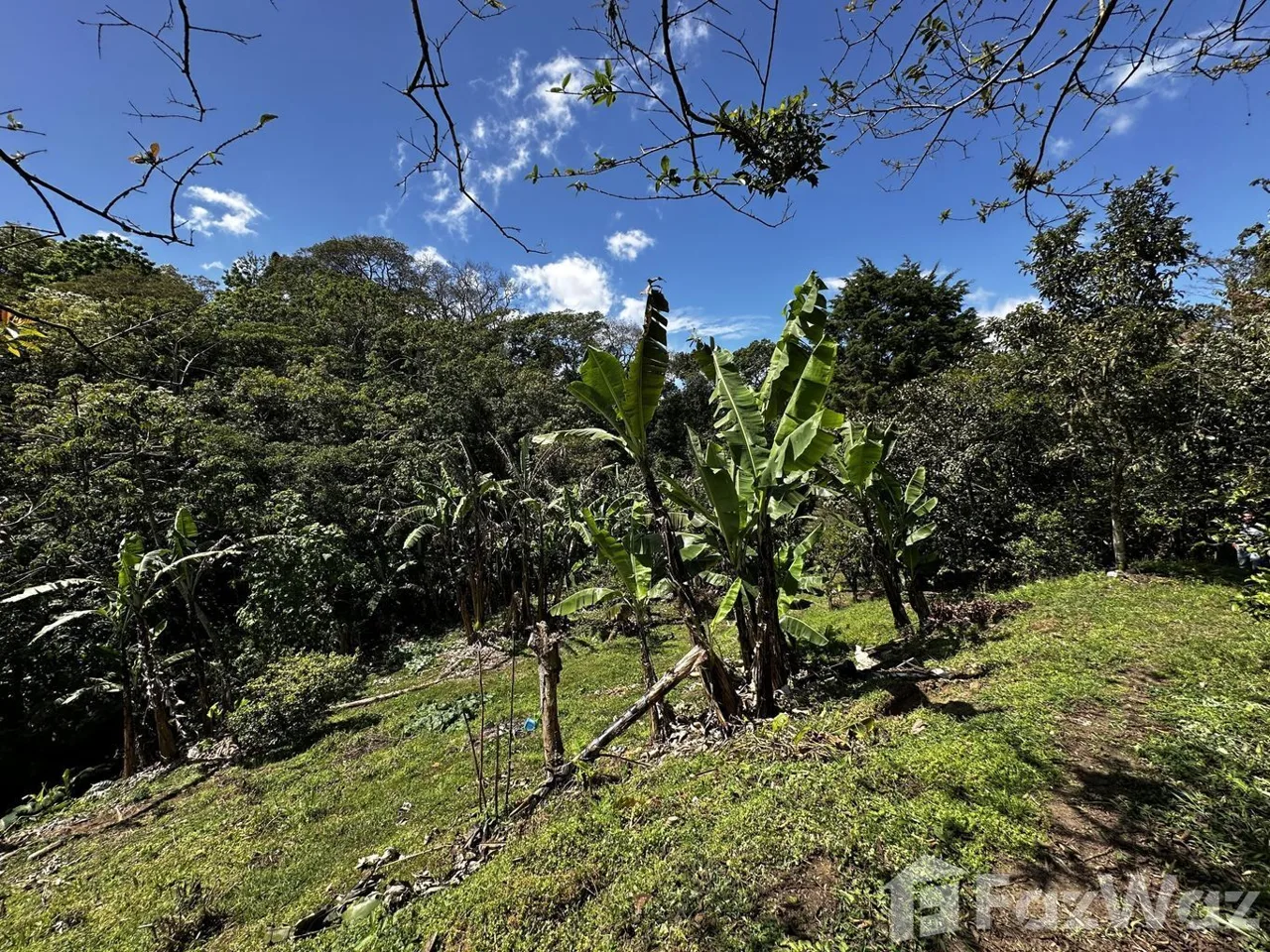 Land for Sale in Montes De Oca, San Jose for $58,600, photo 4