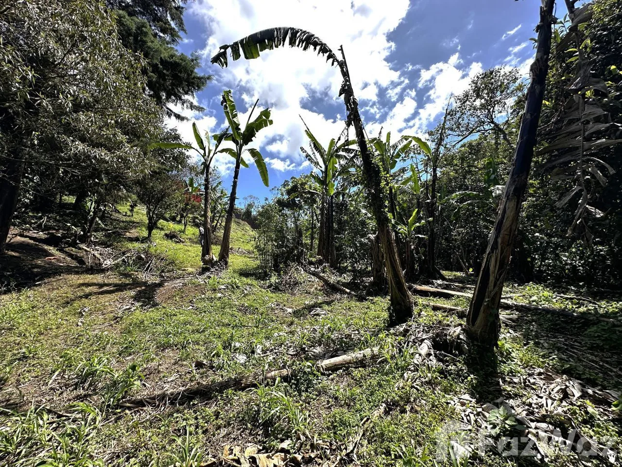 Land for Sale in Montes De Oca, San Jose for $58,600, photo 5