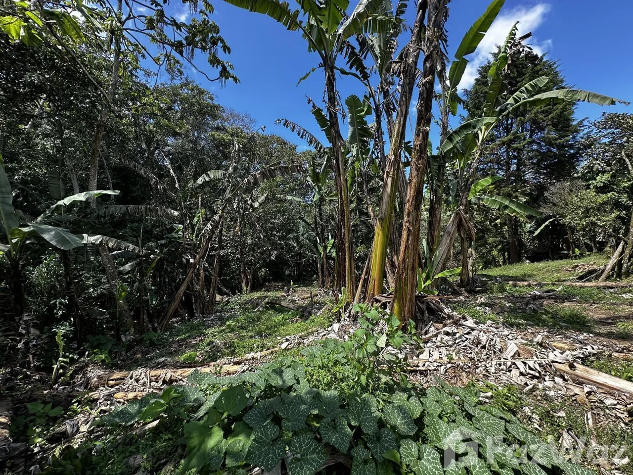 Land for Sale in Montes De Oca, San Jose for $58,600, photo 6