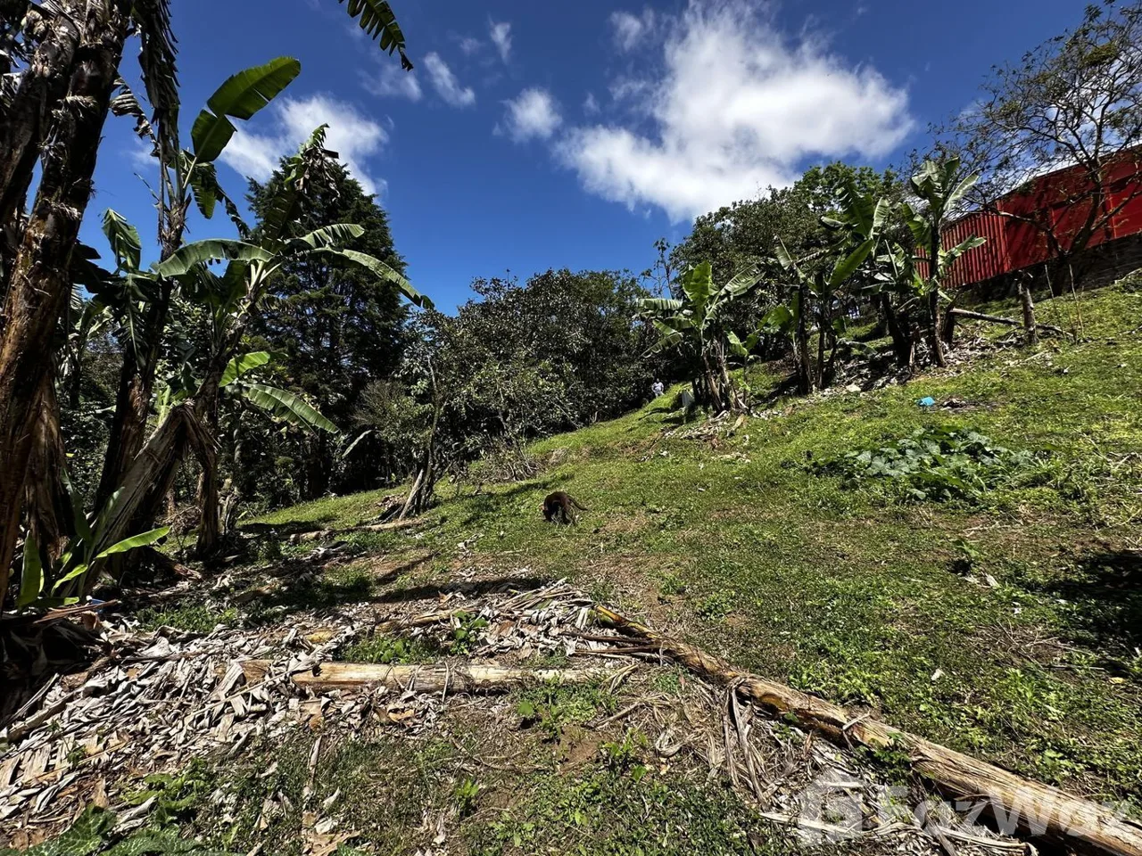Land for Sale in Montes De Oca, San Jose for $58,600, photo 7