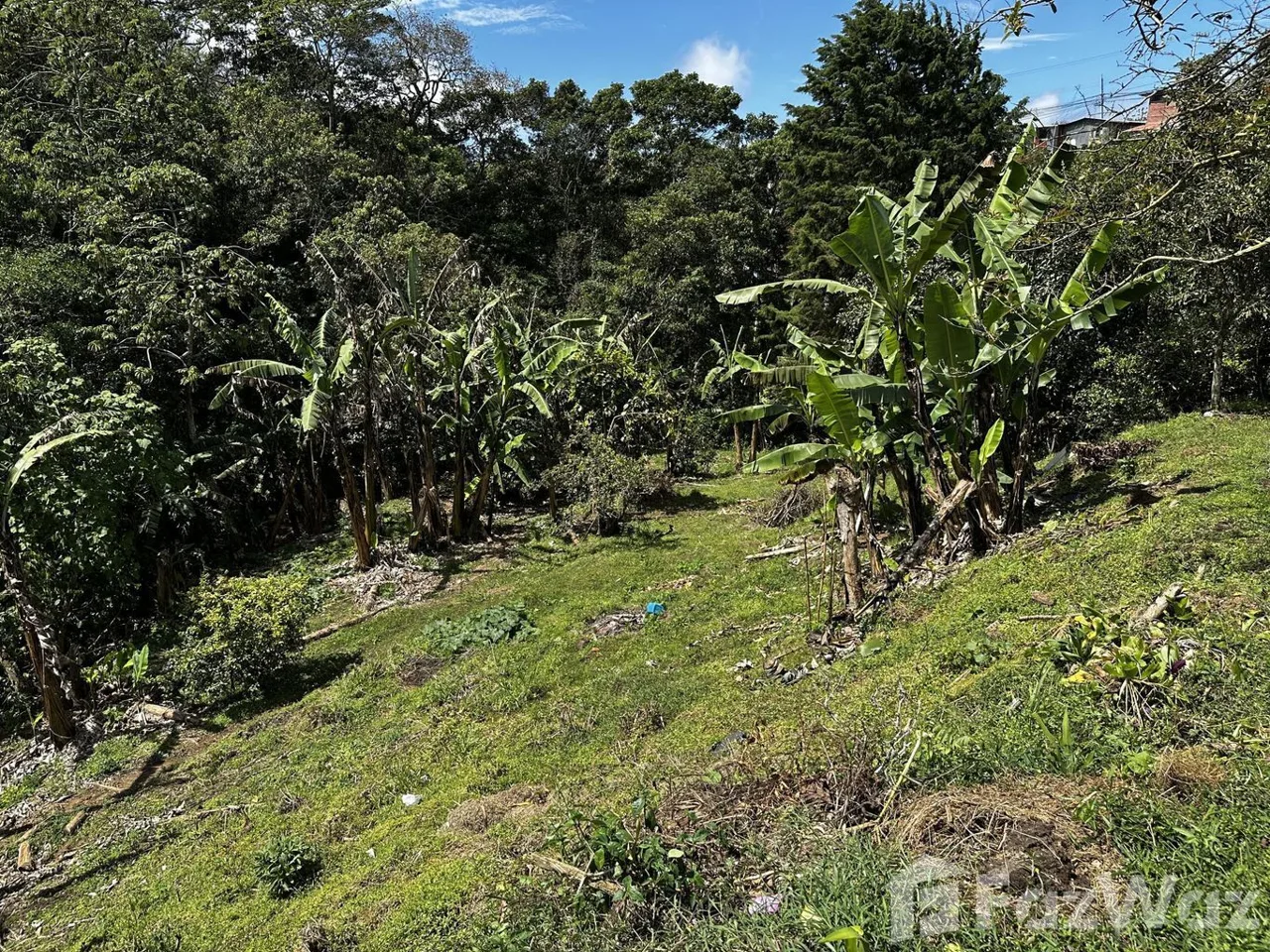 Land for Sale in Montes De Oca, San Jose for $58,600, photo 8