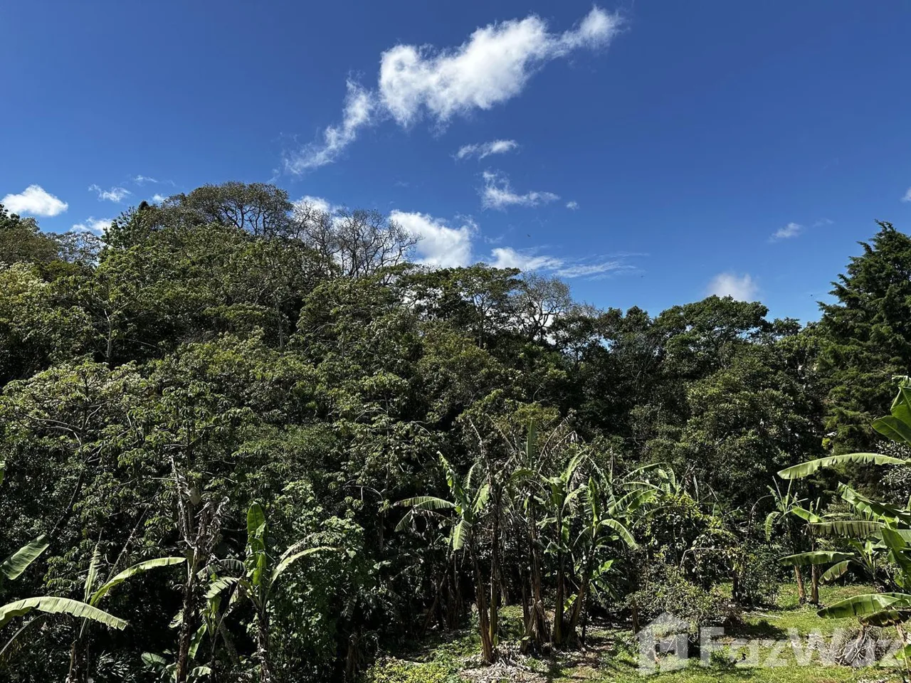 Land for Sale in Montes De Oca, San Jose for $58,600, photo 9