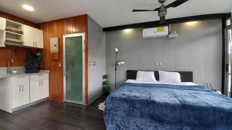 HOME PLUS GUEST VILLA IN TINAMASTES ON 0.61 ACRES, photo 15