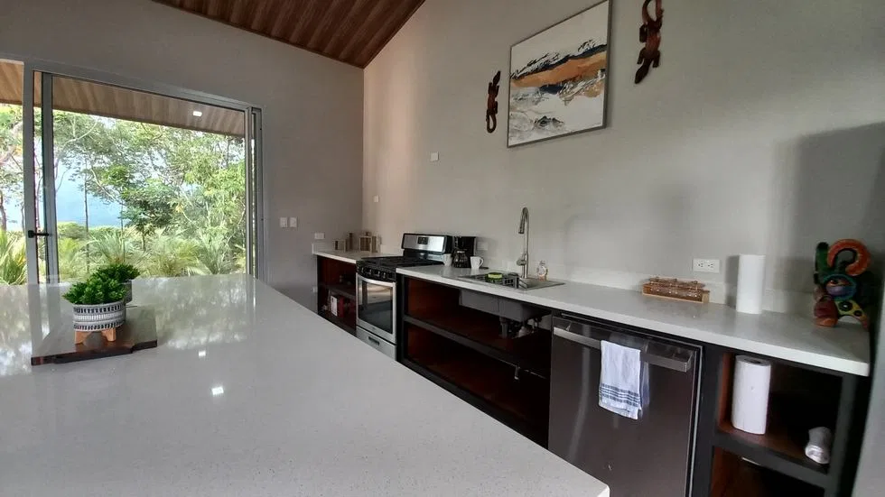 HOME PLUS GUEST VILLA IN TINAMASTES ON 0.61 ACRES, photo 9