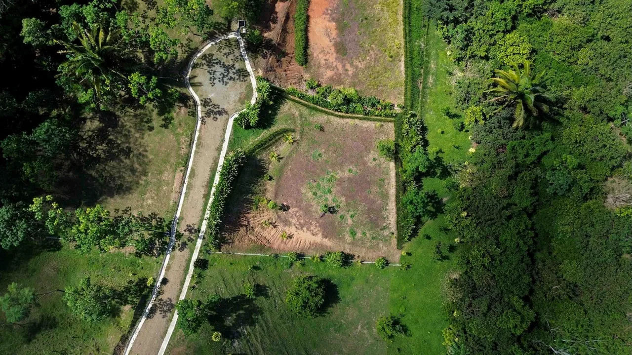 BUILDING PROPERTY WITH OCEAN VIEWS,IN SAN JOSECITO – 17 ACRES, photo 17
