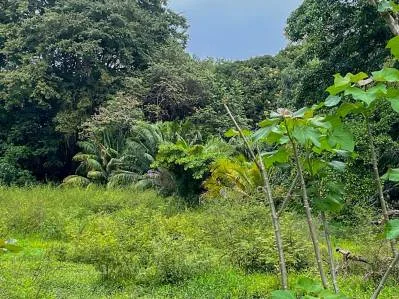 BUILDING PROPERTY WITH STEPS OF THE BEACH, IN LA COLONIA – 2.47 ACRES, photo 26