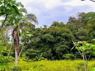 BUILDING PROPERTY WITH STEPS OF THE BEACH, IN LA COLONIA – 2.47 ACRES, photo 27