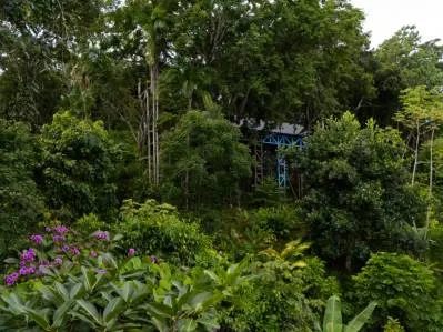 Donde comienza la aventura | Finca privada en la selva junto a las cascadas de Nauyaca, photo 3