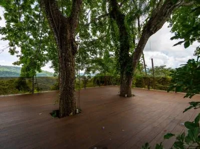 Donde comienza la aventura | Finca privada en la selva junto a las cascadas de Nauyaca, photo 4