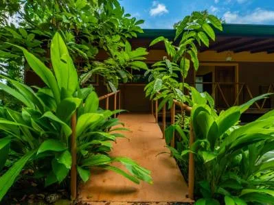 Donde comienza la aventura | Finca privada en la selva junto a las cascadas de Nauyaca, photo 5