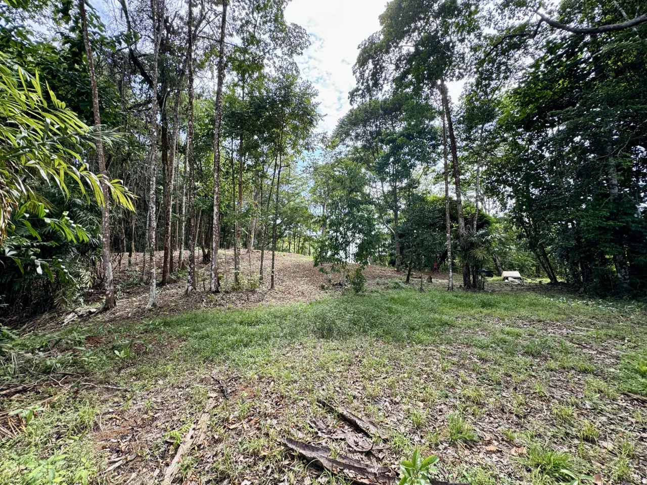 OCEAN AND FOREST VIEW PROPERTY MINUTES TO THE BEACH – 5.11 ACRES, photo 11