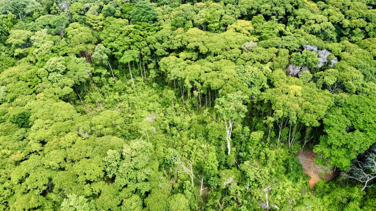 OCEAN AND FOREST VIEW PROPERTY MINUTES TO THE BEACH – 5.11 ACRES, photo 15