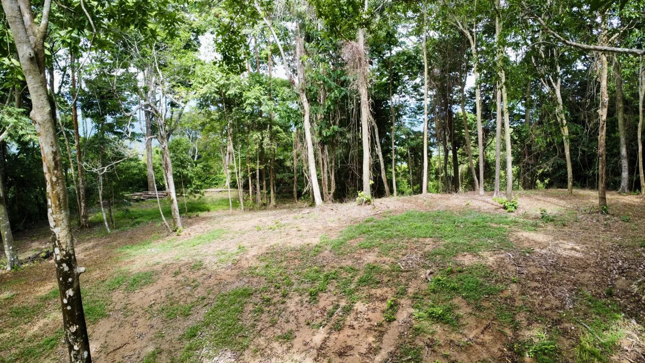 OCEAN AND FOREST VIEW PROPERTY MINUTES TO THE BEACH – 5.11 ACRES, photo 19