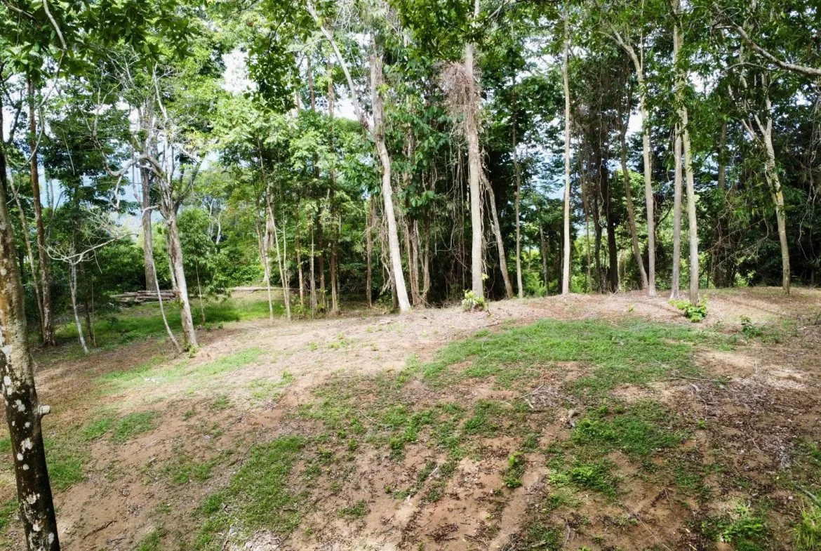 OCEAN AND FOREST VIEW PROPERTY MINUTES TO THE BEACH – 5.11 ACRES, photo 20