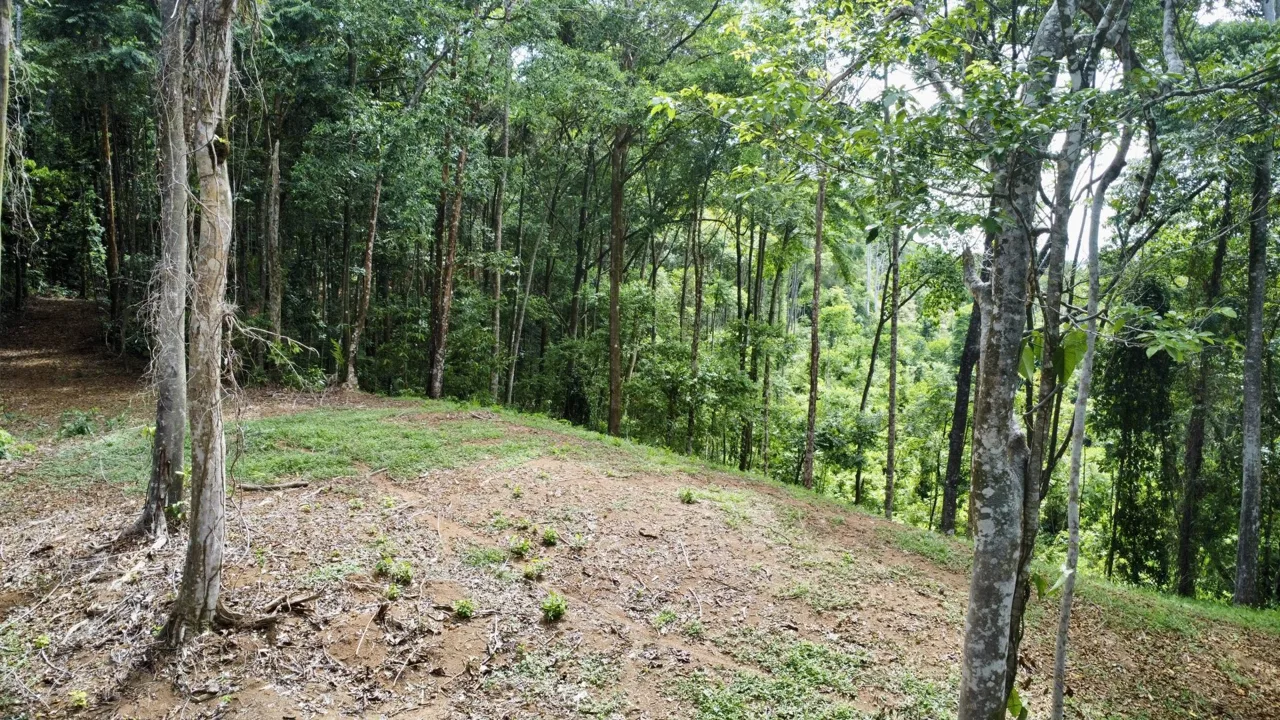 OCEAN AND FOREST VIEW PROPERTY MINUTES TO THE BEACH – 5.11 ACRES, photo 21