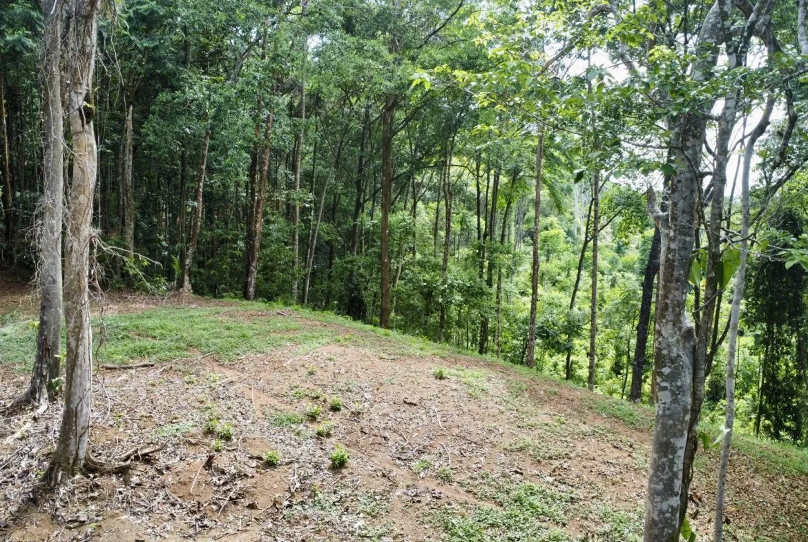 OCEAN AND FOREST VIEW PROPERTY MINUTES TO THE BEACH – 5.11 ACRES, photo 22