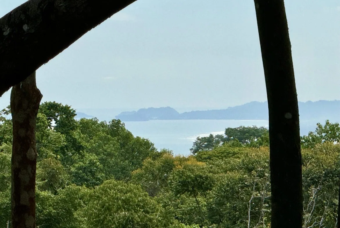 OCEAN AND FOREST VIEW PROPERTY MINUTES TO THE BEACH – 5.11 ACRES, photo 4