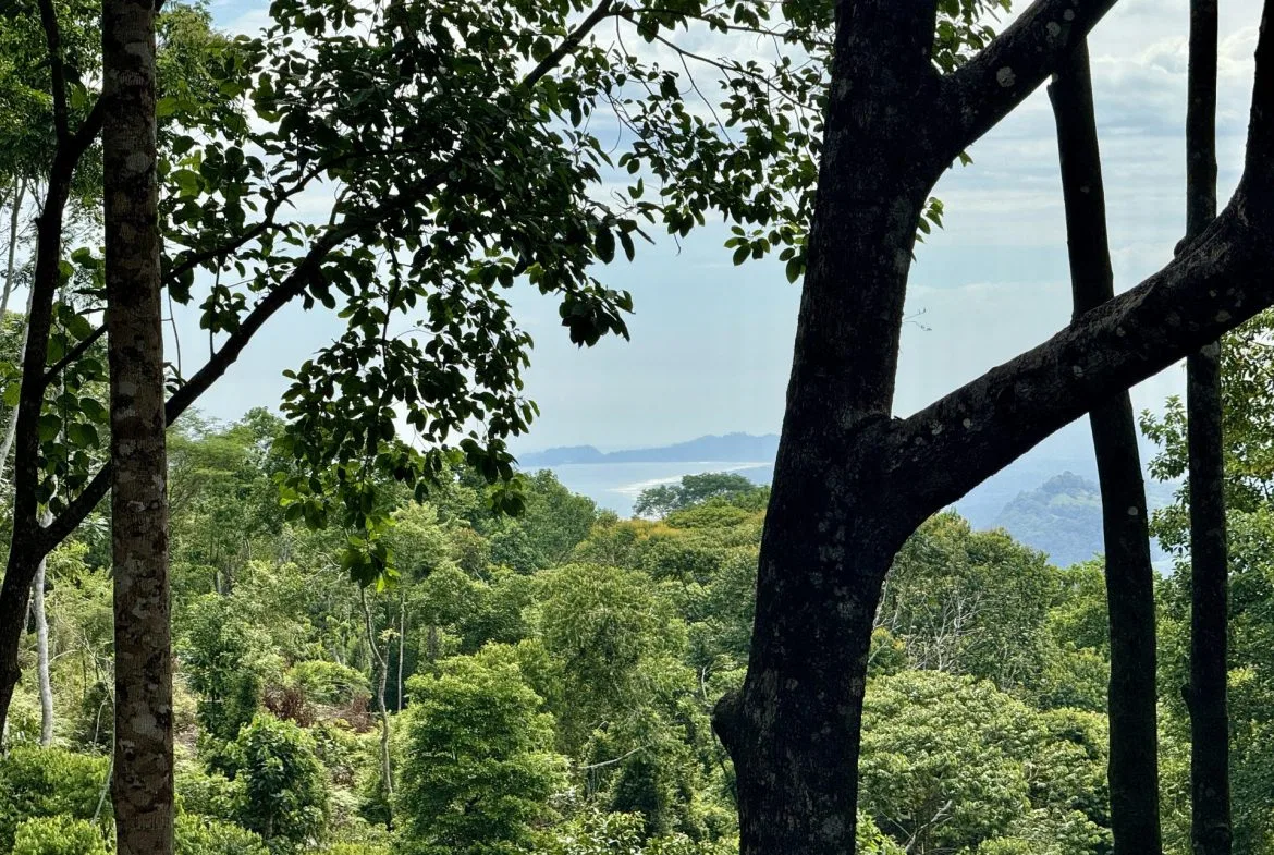OCEAN AND FOREST VIEW PROPERTY MINUTES TO THE BEACH – 5.11 ACRES, photo 6