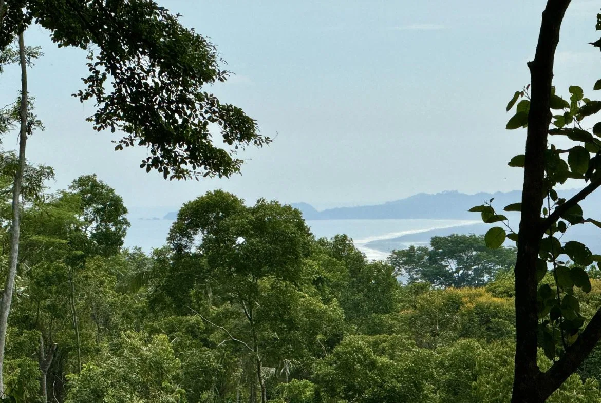 OCEAN AND FOREST VIEW PROPERTY MINUTES TO THE BEACH – 5.11 ACRES, photo 8