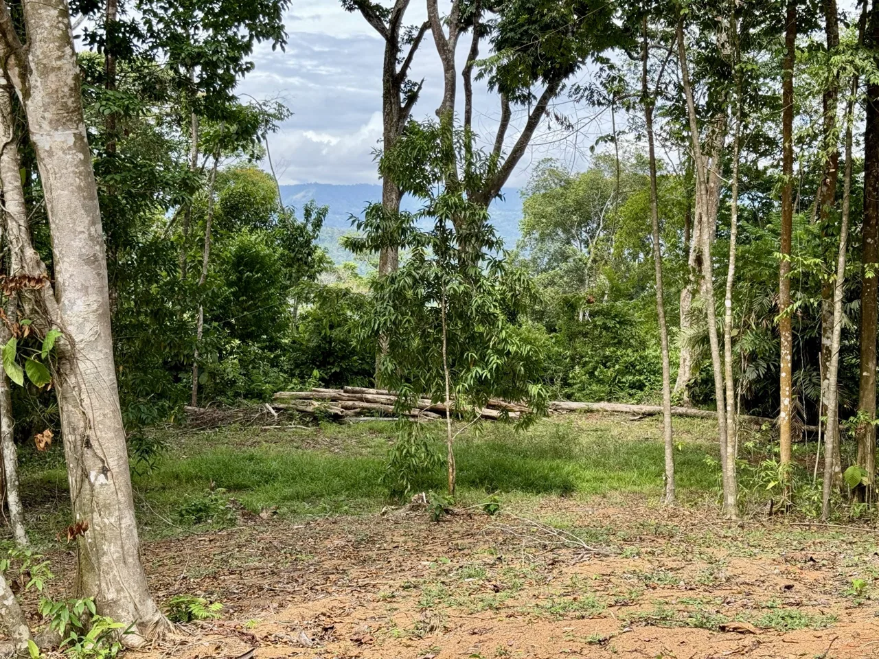 OCEAN AND FOREST VIEW PROPERTY MINUTES TO THE BEACH – 5.11 ACRES, photo 9