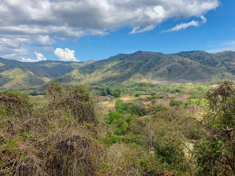 Land For Sale in Nosara, photo 2
