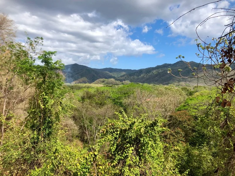 Land For Sale in Nosara, photo 12