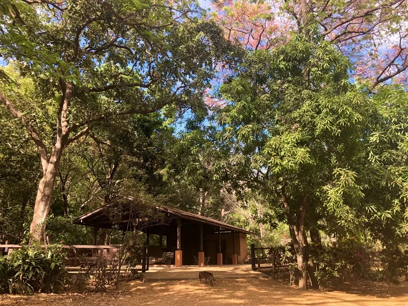 Land For Sale in Nosara, photo 4