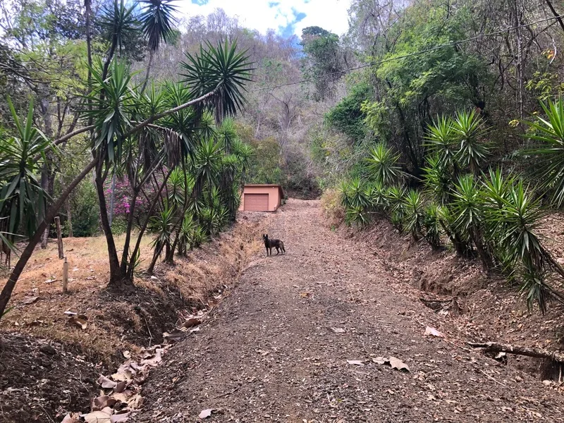 Land For Sale in Nosara, photo 5