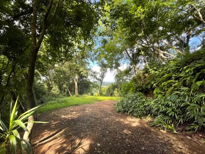 Land For Sale in Nosara, photo 6