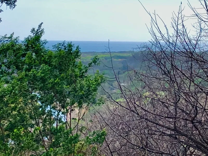 Land For Sale in Nosara, photo 9