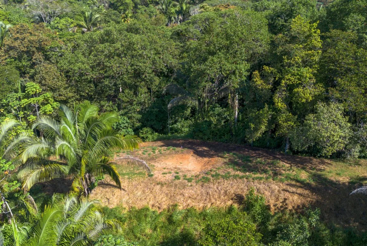 2 SIDE BY SIDE JUNGLE LOTS IN DESIDED PLAYA HERMOSA COMMUNITY – 2.5 ACRES, photo 2