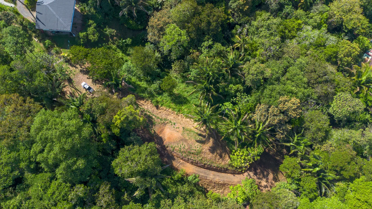 2 SIDE BY SIDE JUNGLE LOTS IN DESIDED PLAYA HERMOSA COMMUNITY – 2.5 ACRES, photo 11