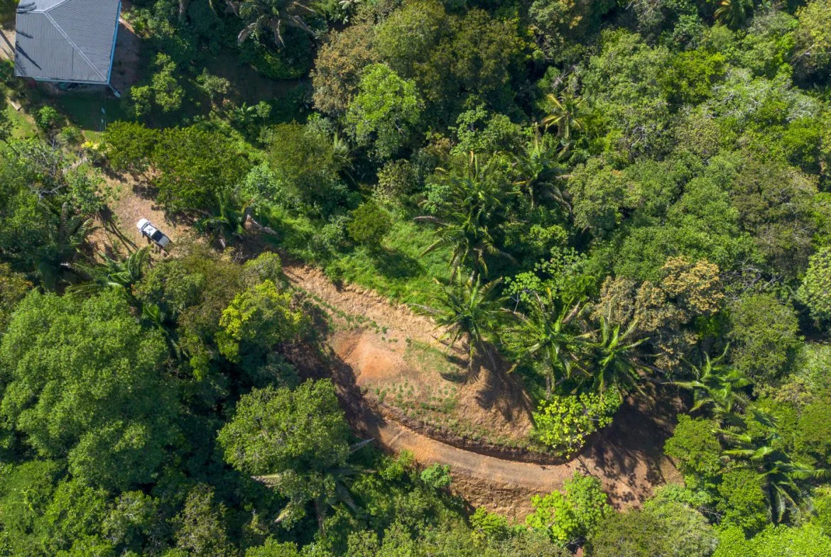 2 SIDE BY SIDE JUNGLE LOTS IN DESIDED PLAYA HERMOSA COMMUNITY – 2.5 ACRES, photo 12