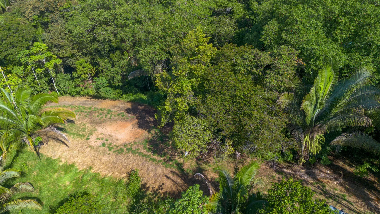 2 SIDE BY SIDE JUNGLE LOTS IN DESIDED PLAYA HERMOSA COMMUNITY – 2.5 ACRES, photo 13