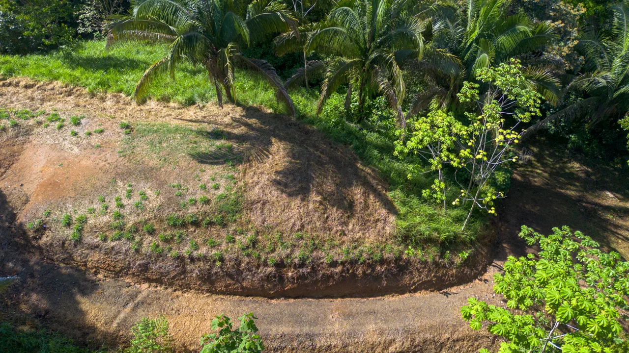 2 SIDE BY SIDE JUNGLE LOTS IN DESIDED PLAYA HERMOSA COMMUNITY – 2.5 ACRES, photo 15