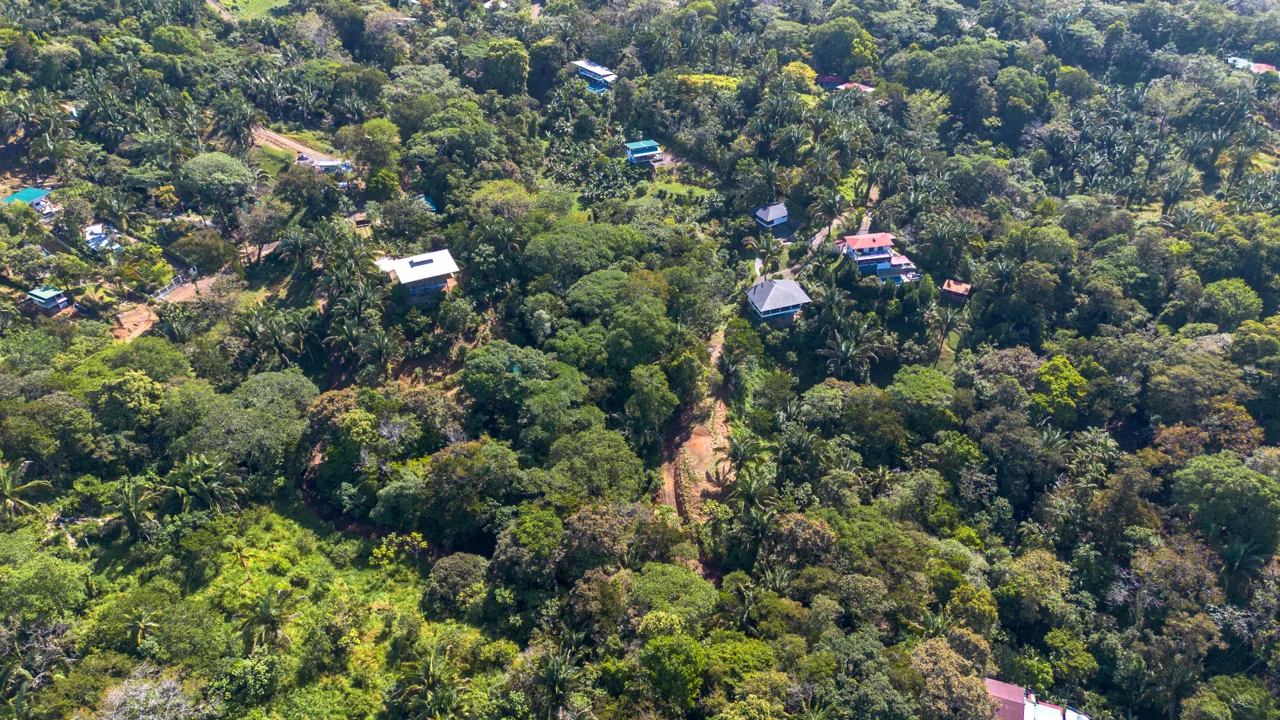 2 SIDE BY SIDE JUNGLE LOTS IN DESIDED PLAYA HERMOSA COMMUNITY – 2.5 ACRES, photo 19