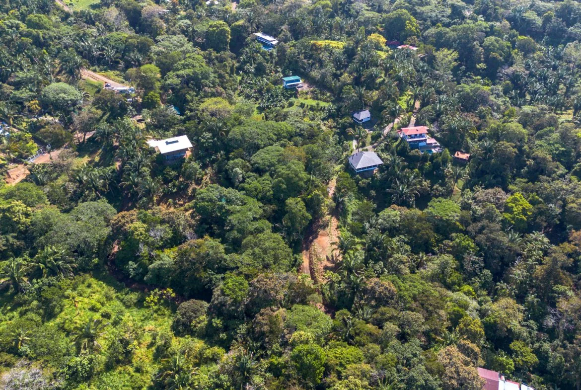 2 SIDE BY SIDE JUNGLE LOTS IN DESIDED PLAYA HERMOSA COMMUNITY – 2.5 ACRES, photo 20